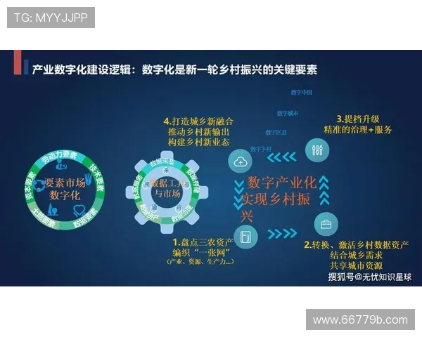 安乡直播：乡村振兴新画卷，数字赋能美好生活